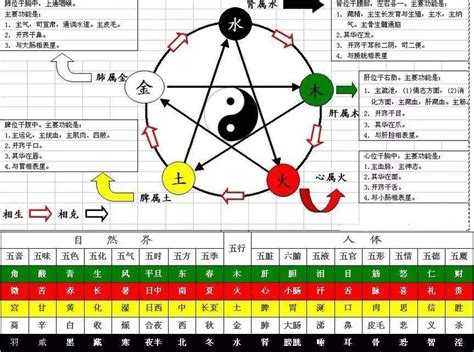 癸水生甲木|万物类象，十天干象法精解——癸水